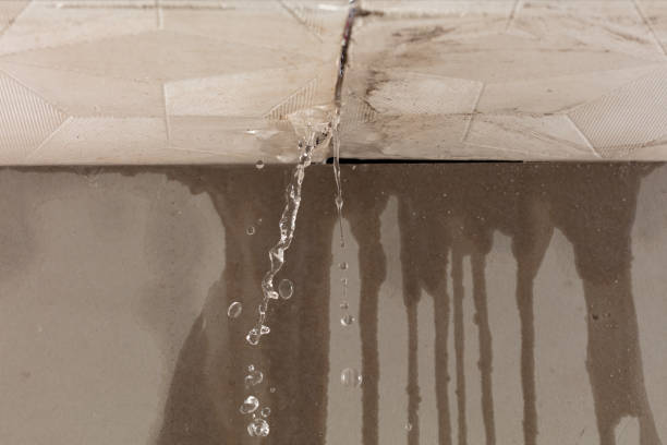 Professional Water Damage Inspection technician working in Spirit Lake, ID